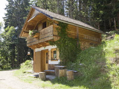 Bild 12 aus  Hocheggerhütte