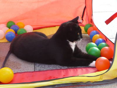 Bild 43 aus  Ployergut