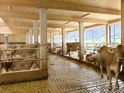 Bild 61 aus  Ferienhof Landerleben