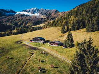 Astenhütte aus Stuhlfelden