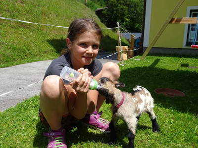 Bild 20 aus Landhaus Grub