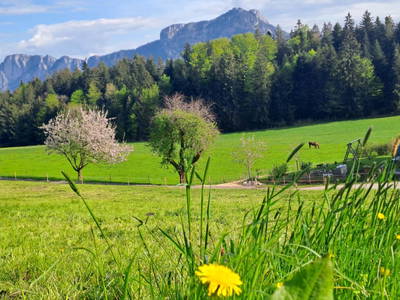 Bild 30 aus  Obergrünwaldgut