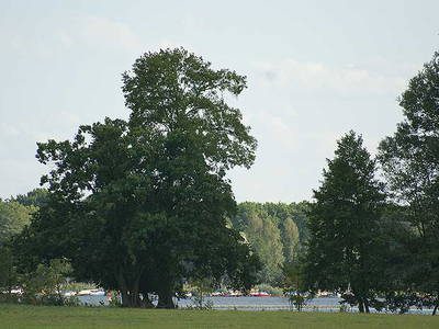 Bild 14 aus  Pferde- und Freizeithof Koplin