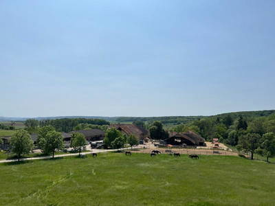 Bild 4 aus  Gutshof Hungerburg