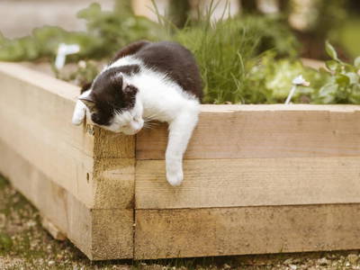 Bild 21 aus  Knappenhof