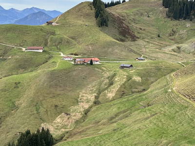 Bild 52 aus  Lochner Alm