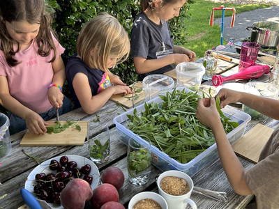 Bild 161 aus  Naturhof Innauer