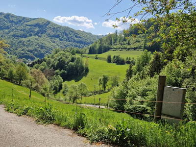 Bild 6 aus  Gsangerer