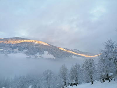 Bild 46 aus Stinig-Hof
