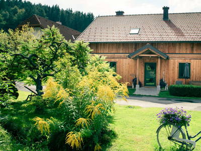 Bild 10 aus  St. Annahof