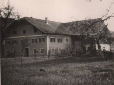 Bild 9 aus Kinderparadies Bachbauer