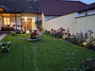 Bild 67 aus Ferienhaus Weinviertel
