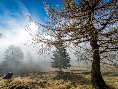 Bild 29 aus  Goldgräberhütte