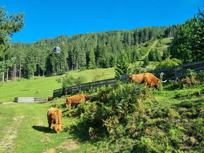 Bild 121 aus  Kassnhof