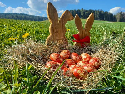 Bild 23 aus  Pircherhof - Adults Only am Biobauernhof