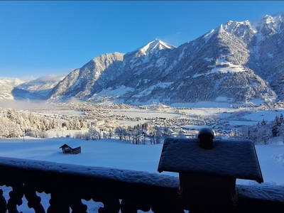 Bild 88 aus  Hartlgut