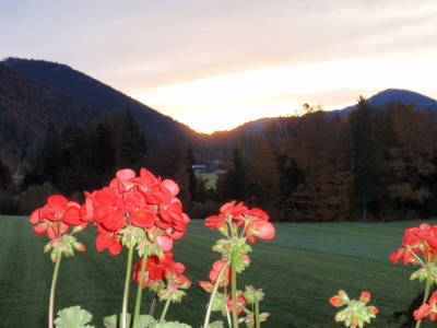 Bild 24 aus Bio-Bauernhof Vordergschwandtgut