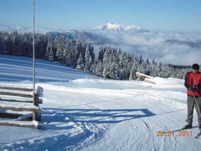 Bild 23 aus  Almbauer