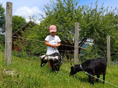 Bild 15 aus  Familienparadies Zeislerhof