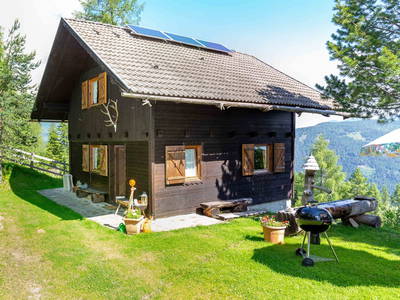 Bild 19 aus  Neuwirth Hütte