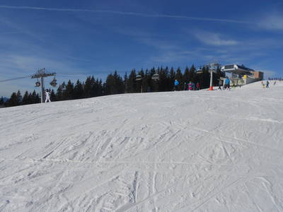 Bild 26 aus  Waldschönau