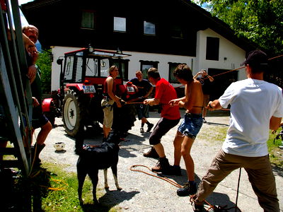 Bild 74 aus Abenteuerhof Schiefer