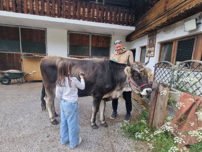 Bild 109 aus  Alfaierhof & Bergheimat
