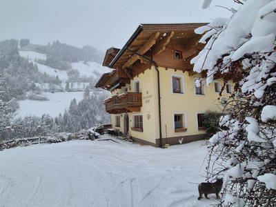 Bild 26 aus  Pfandlinghof