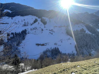 Bild 37 aus  Pfandlinghof