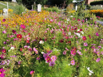 Bild 9 aus  Frühstückspension Buchner