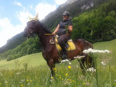 Bild 28 aus  Landhaus Juritsch