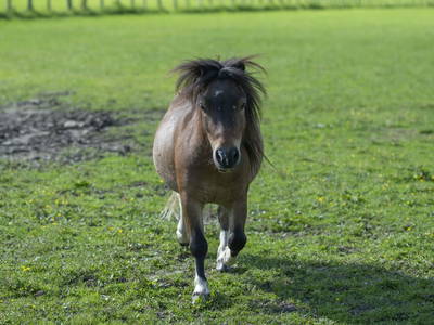 Bild 47 aus  Ferienwohnungen Ranstl