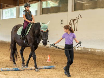 Bild 93 aus  Reiterhof Pfleger