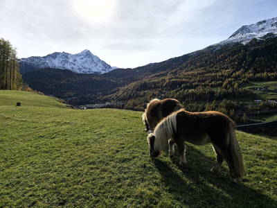 Bild 183 aus  Granbichlhof