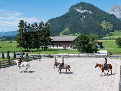 Bild 44 aus  Erlebnisgut Oberhabach