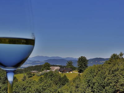 Bild 35 aus  Landhotel Spreitzhofer - Braunhof