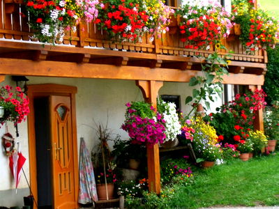 Bild 85 aus Bauernhof Pension Juri