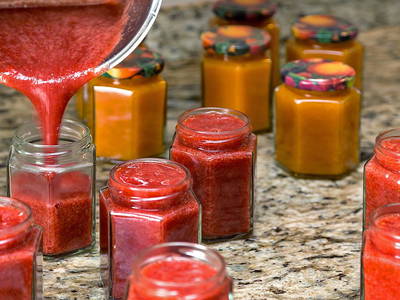 Bild 24 aus  Appartement Birkenhof - Urlaub mit Pferden und Alpakas