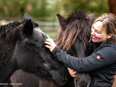 Bild 23 aus  Ferienhaus / Chalet auf dem Gestüt Lohhof mit Kinderreiten oder Pony Reiten