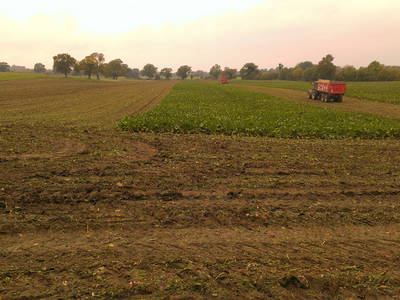 Bild 17 aus  Gut Petersdorf