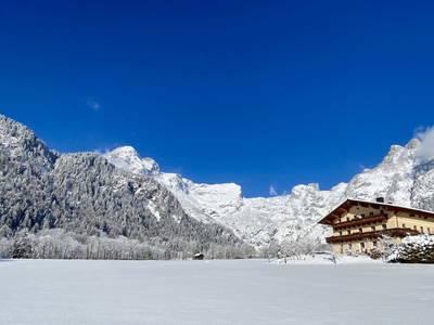 Bild 108 aus  Alpen Appartements Oberlehengut