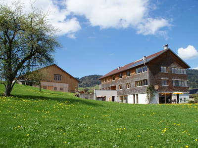 Bild 2 aus  Schweizer Hof