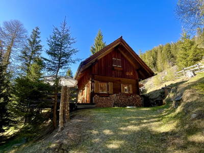 Bild 17 aus  Königsreiner  Hütte
