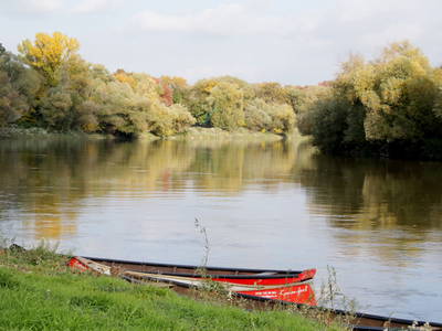 Bild 102 aus  Winzerhof Küssler, Weinviertel