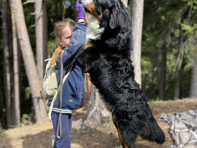 Bild 56 aus  Hoferhof