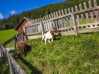 Bild 26 aus  Hansalagut