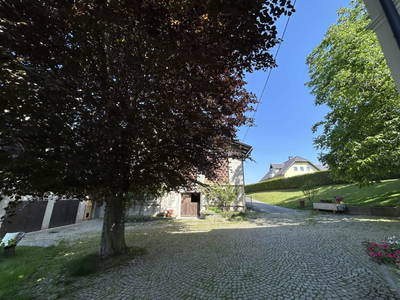 Bild 63 aus  Kollehof