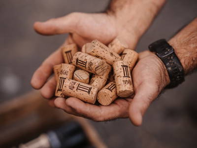 Bild 31 aus  Weingut Assigal