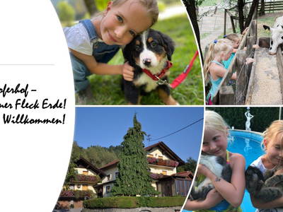 Bild 2 aus  Hoferhof