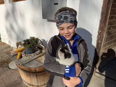 Bild 68 aus  Bleierhof